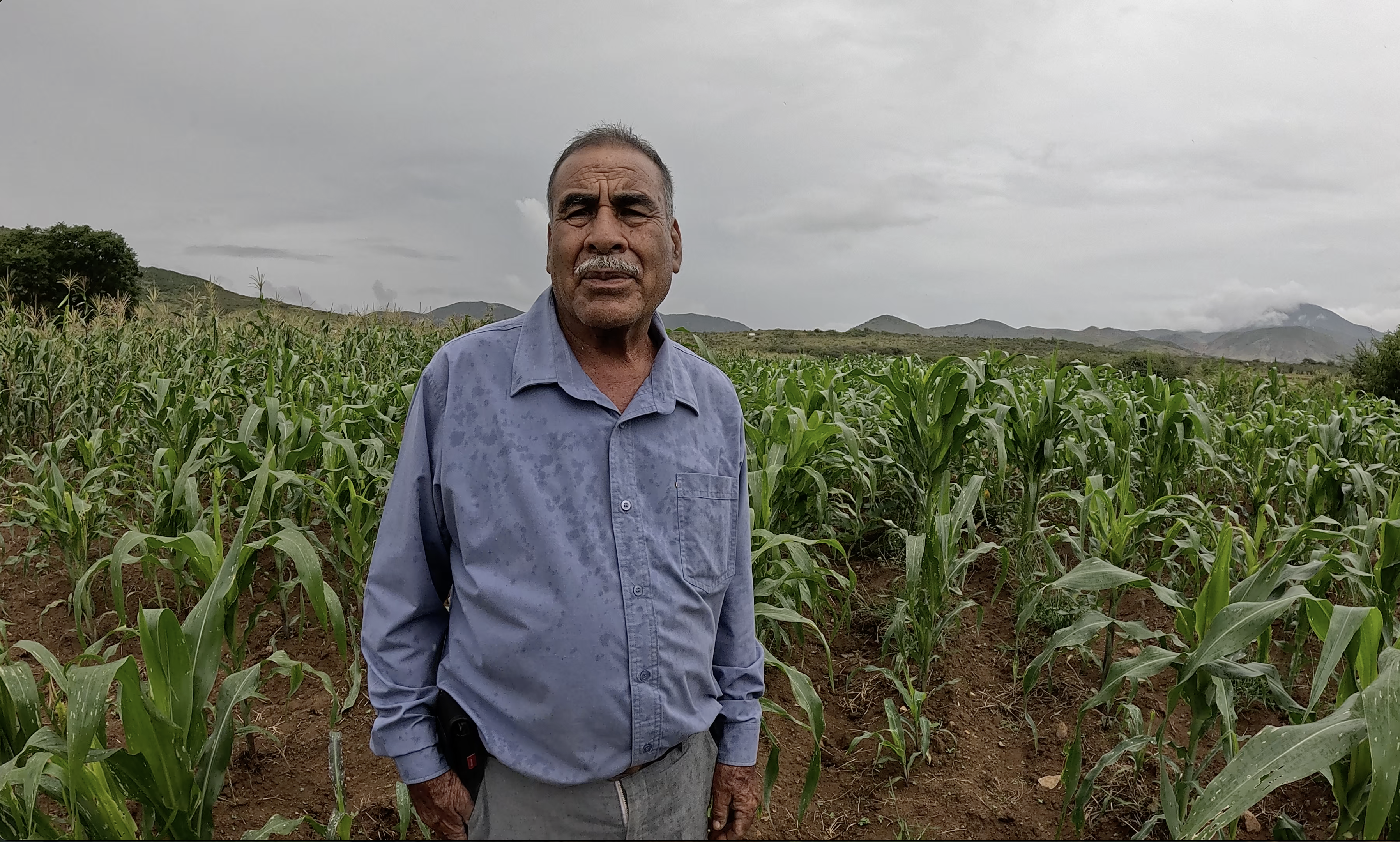 Andrés Ramírez Ortiz (Foto: CIMMYT)